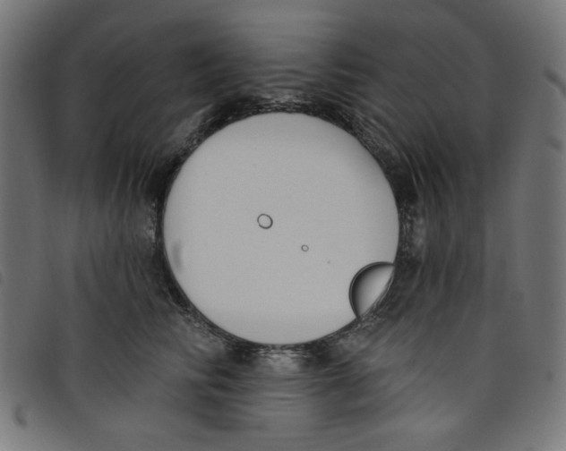 X0000098110710200804251428