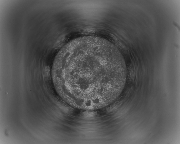 X0000098110711200804251428