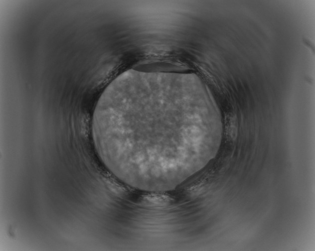 X0000098110712200804251428