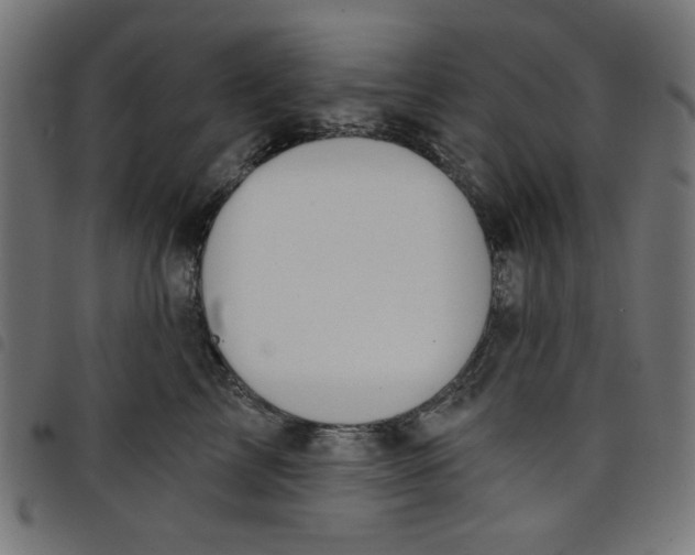 X0000098110713200804251428