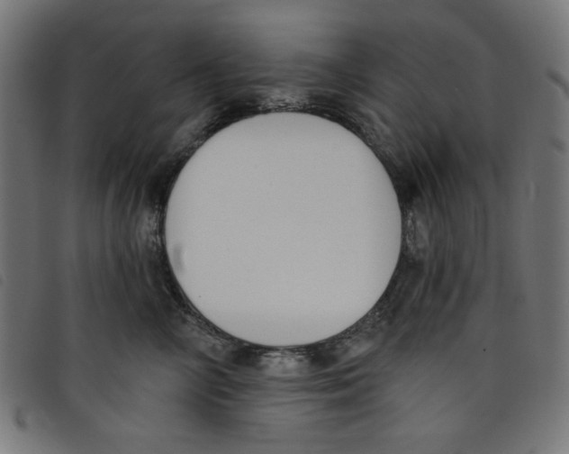 X0000098110714200804251428