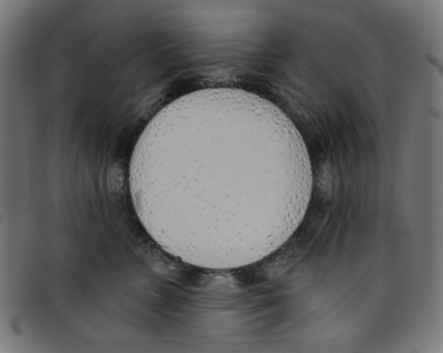 X0000098110715200804251428