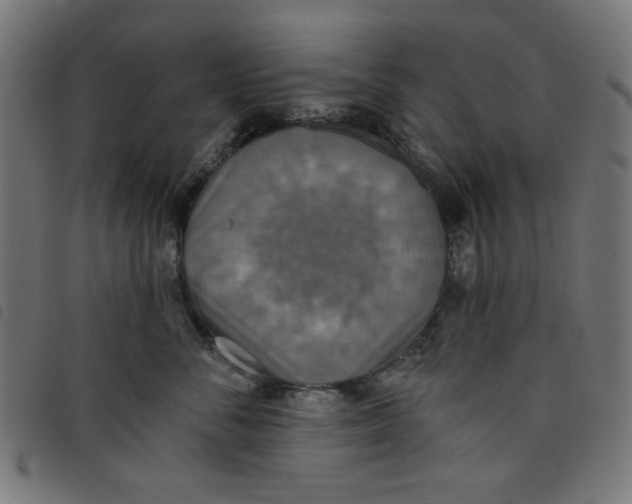 X0000098110716200804251428