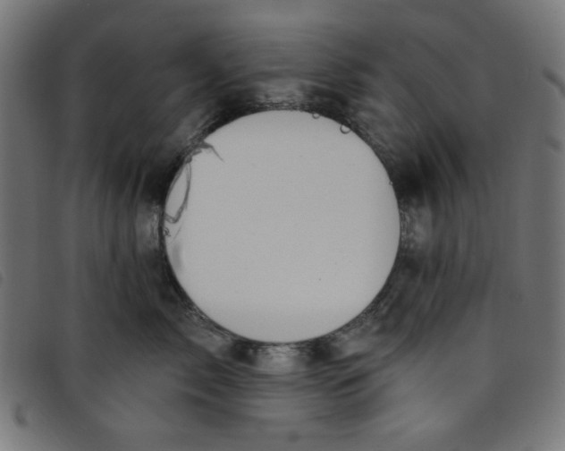 X0000098110717200804251428