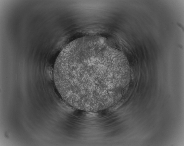 X0000098110718200804251428