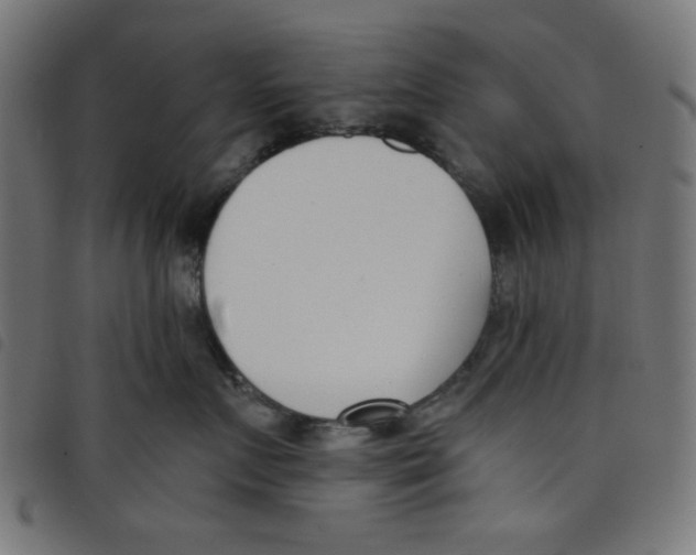 X0000098110719200804251427