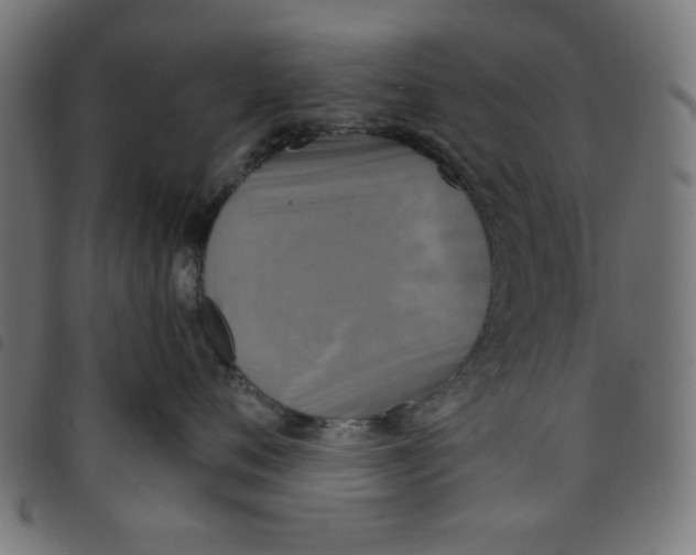 X0000098110720200804251427