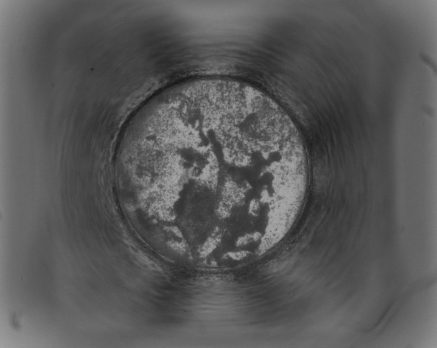 X0000098110721200804251427