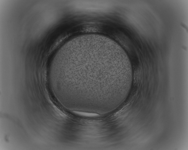 X0000098110722200804251427