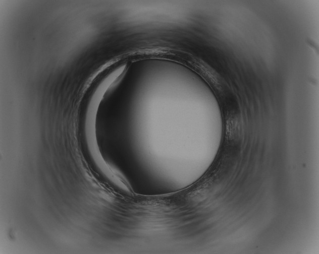 X0000098110724200804251427