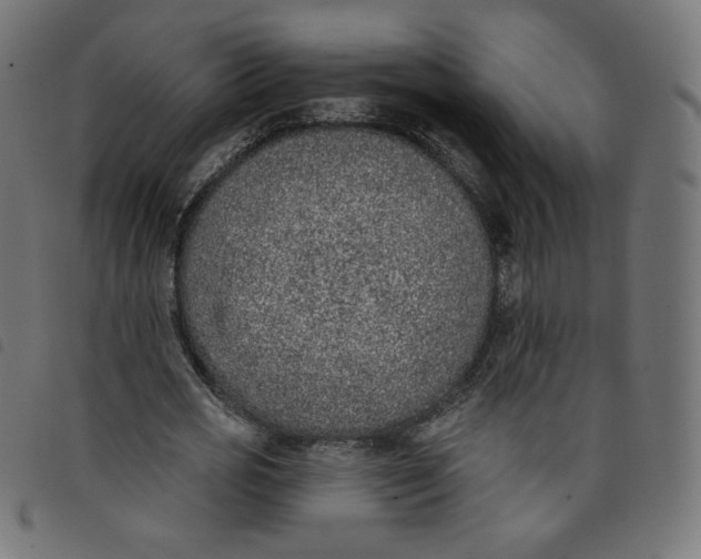 X0000098110725200804251427