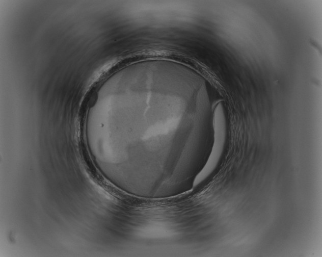 X0000098110726200804251427