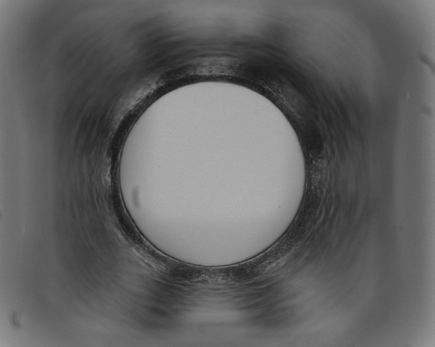 X0000098110727200804251427