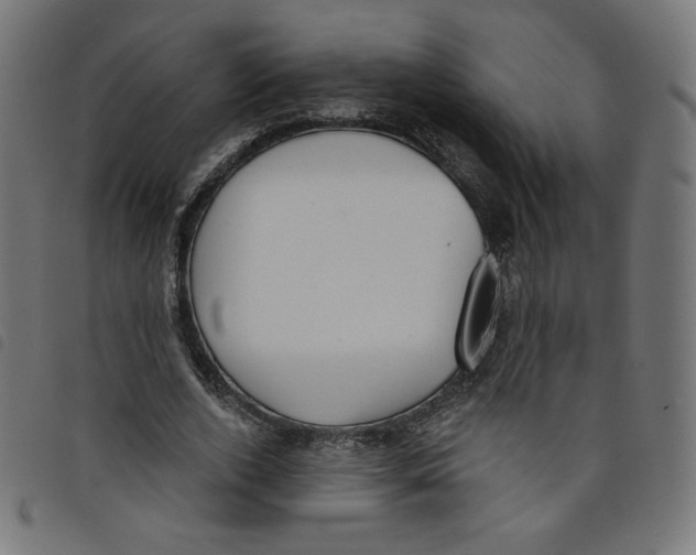 X0000098110728200804251427