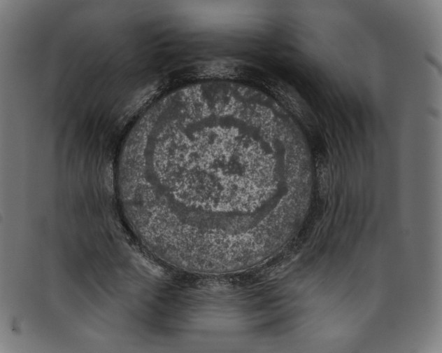 X0000098110729200804251427