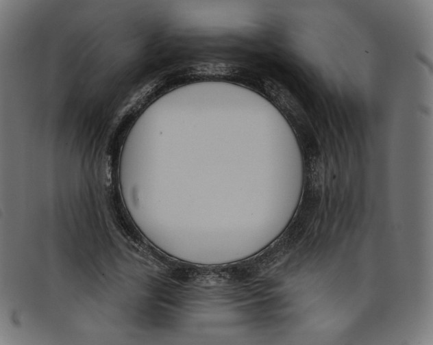 X0000098110731200804251427