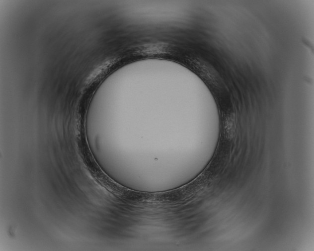 X0000098110732200804251427