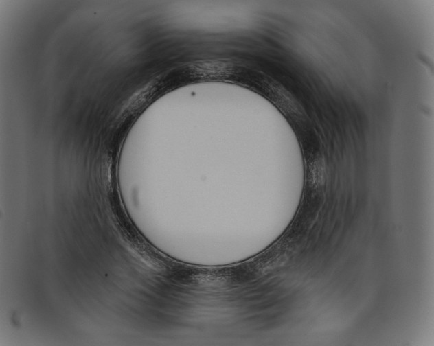 X0000098110733200804251427