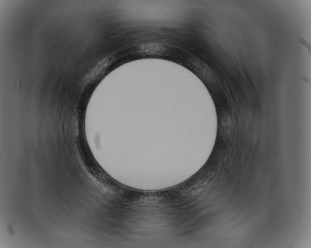 X0000098110734200804251427