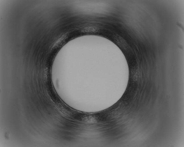 X0000098110735200804251427