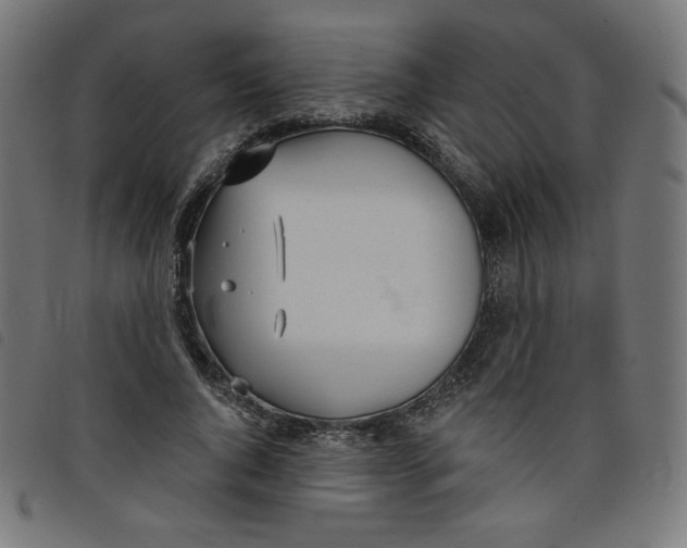 X0000098110736200804251427