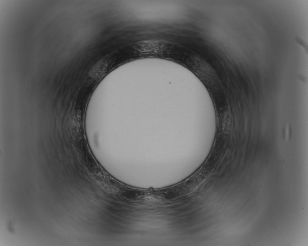 X0000098110737200804251427