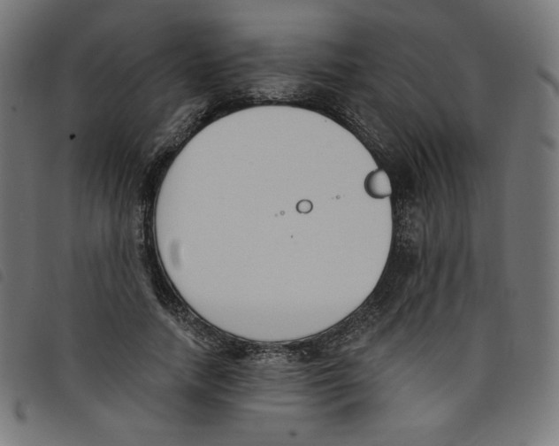 X0000098110738200804251427