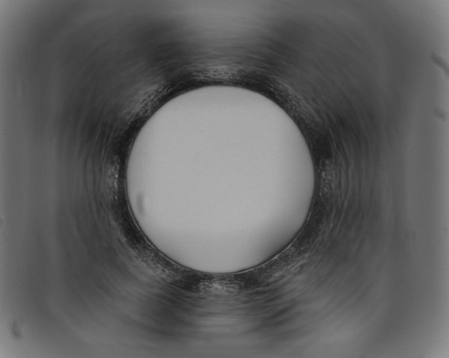 X0000098110739200804251427