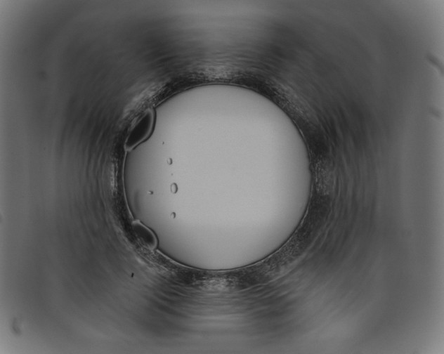 X0000098110740200804251427