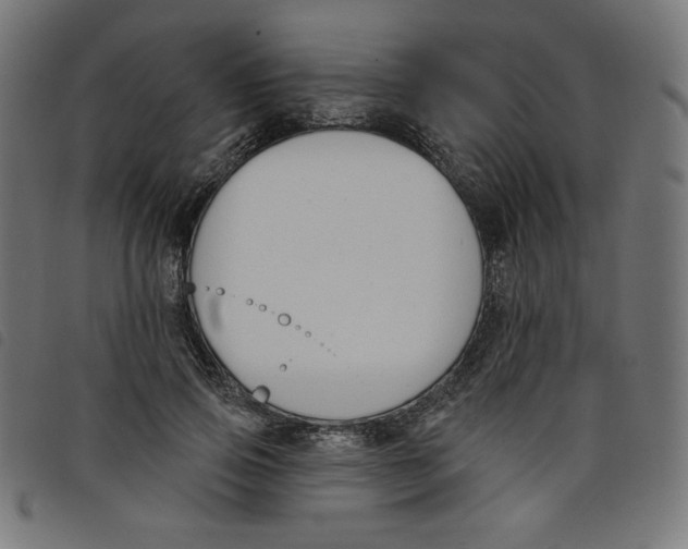 X0000098110741200804251427