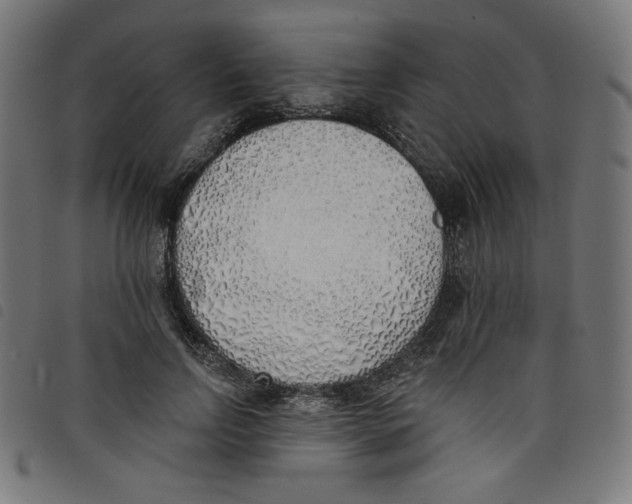 X0000098110742200804251427