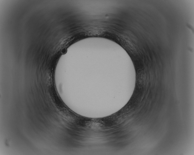 X0000098110743200804251427