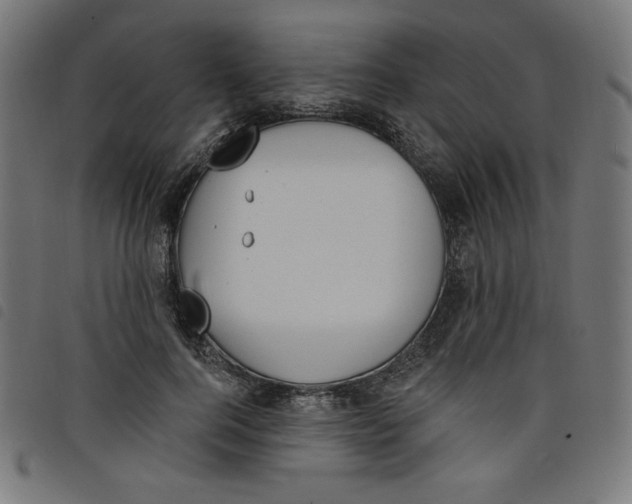 X0000098110744200804251427