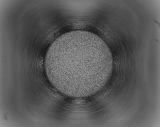 X0000098110745200804251427