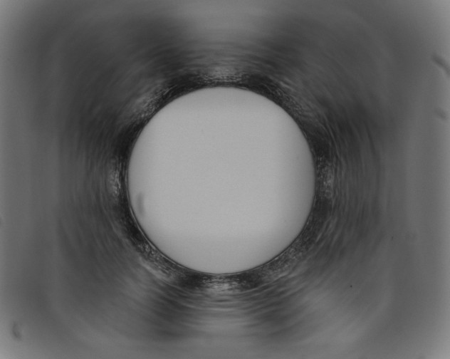 X0000098110746200804251427