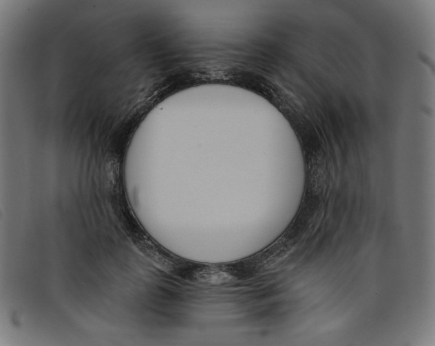 X0000098110747200804251427