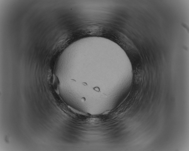 X0000098110748200804251427