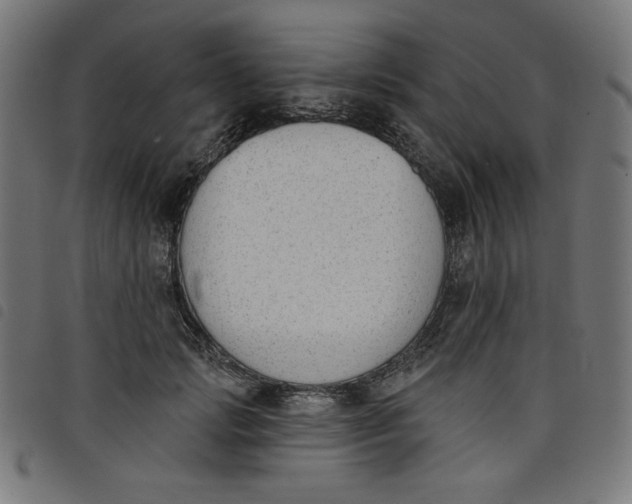 X0000098110749200804251427