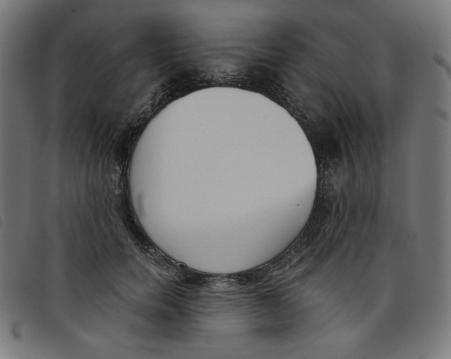 X0000098110750200804251427