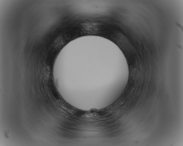 X0000098110752200804251427