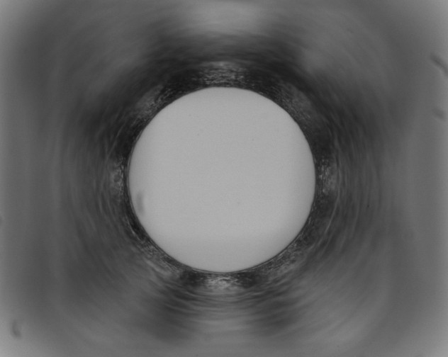 X0000098110753200804251427