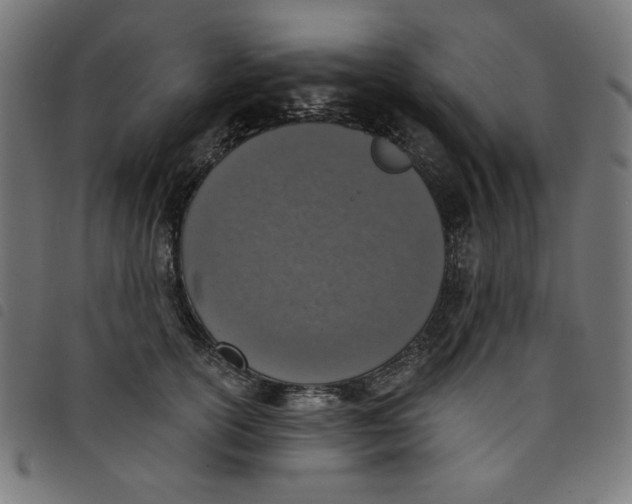 X0000098110754200804251427