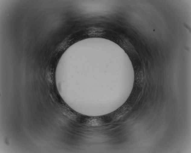 X0000098110755200804251427