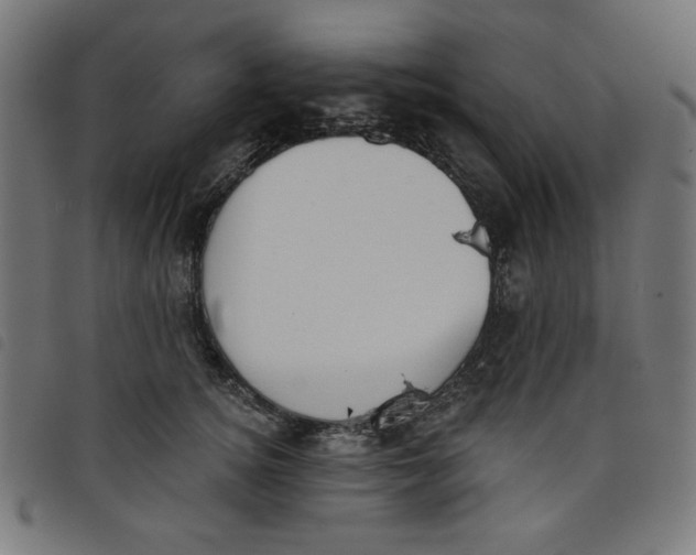 X0000098110756200804251427