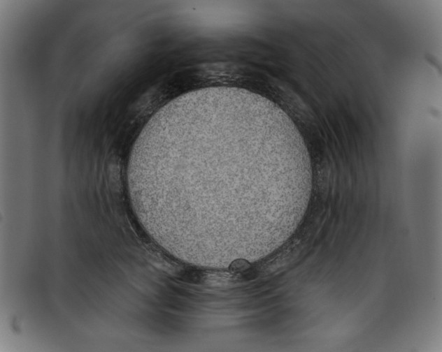 X0000098110757200804251427