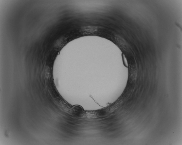 X0000098110758200804251427