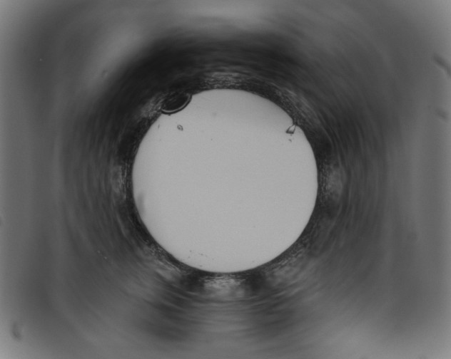 X0000098110759200804251427