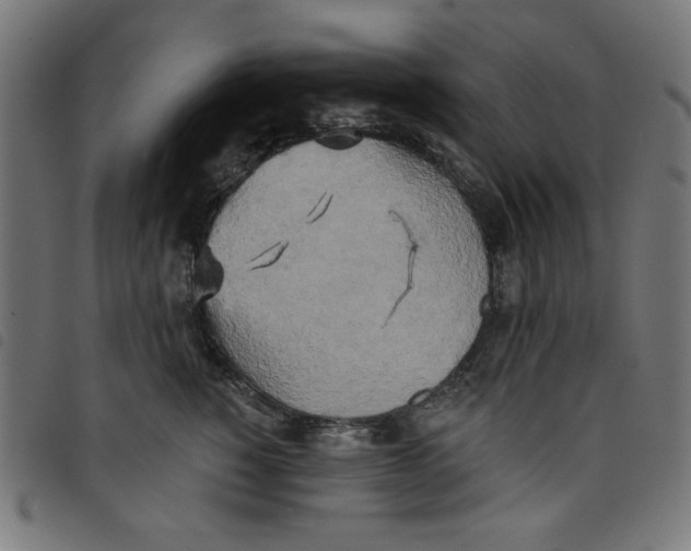 X0000098110760200804251427