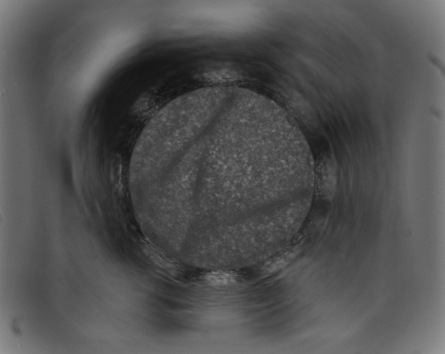 X0000098110762200804251427