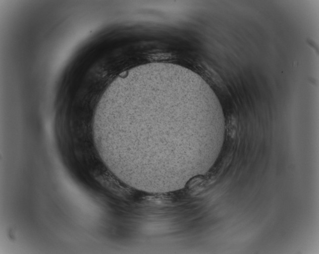 X0000098110763200804251427